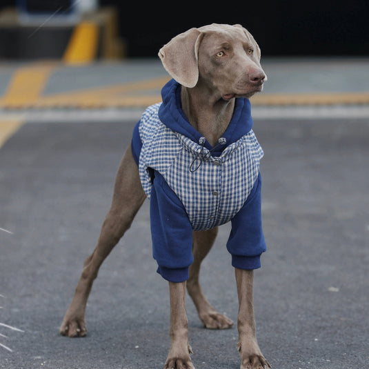 Winter Plaid Vest and Hoodie for Large Dog