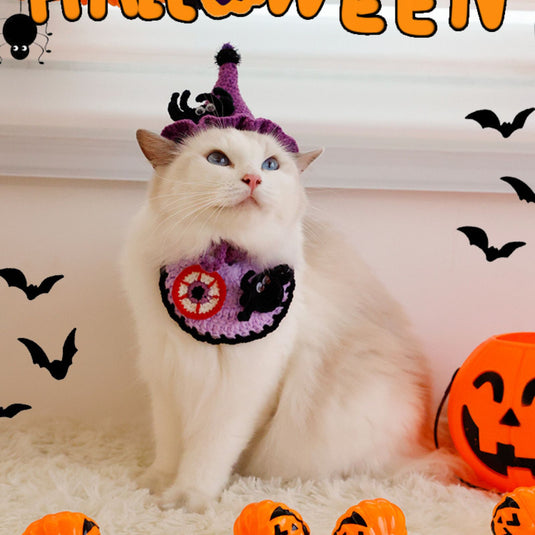 Pumpkin and Spider Halloween Pet Hat Collar