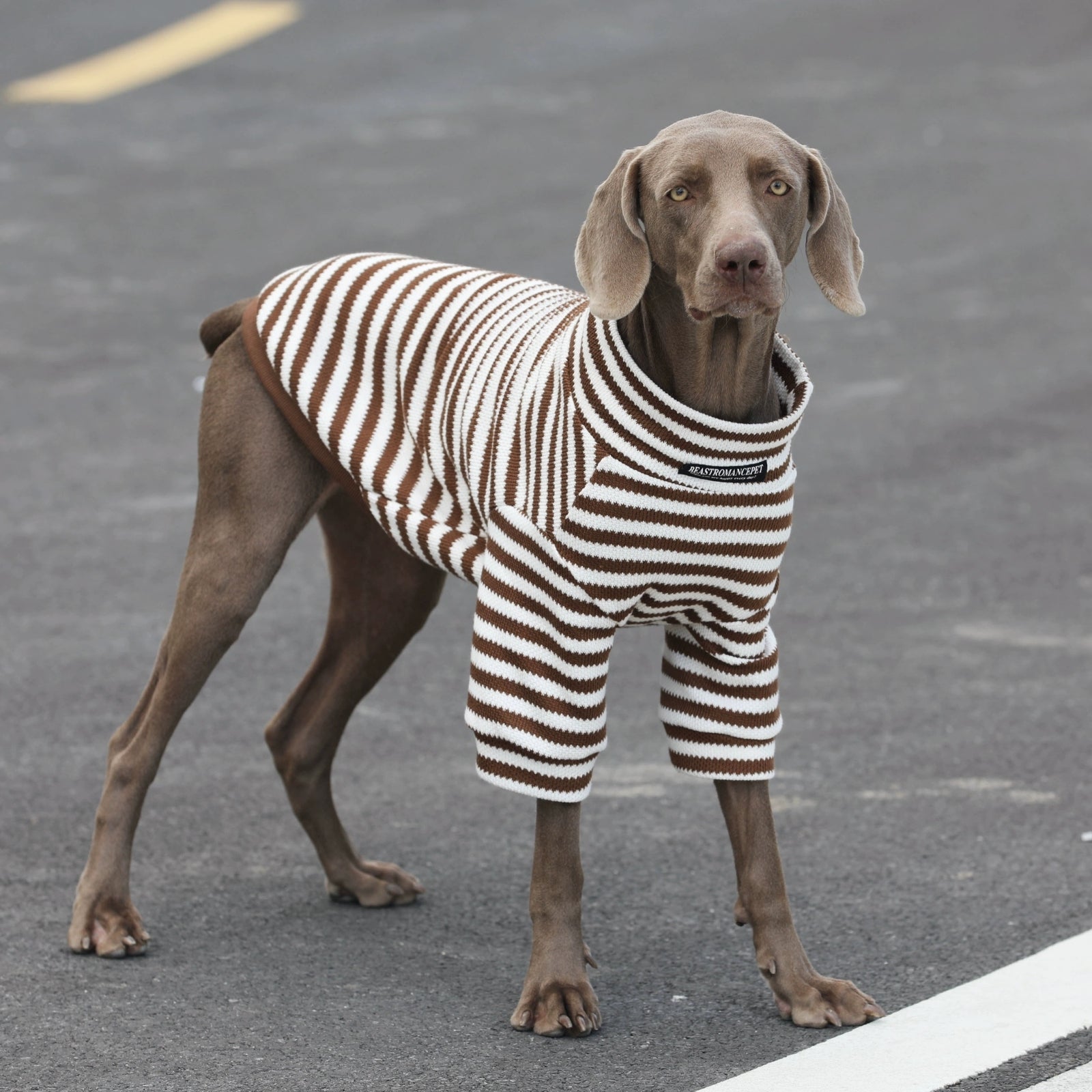 Classic Striped Large Dog Sweater