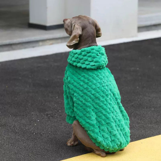 Green Velvet Large Dog Hoodie