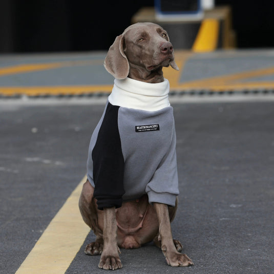 High Neck Sweatshirt for Large Dog