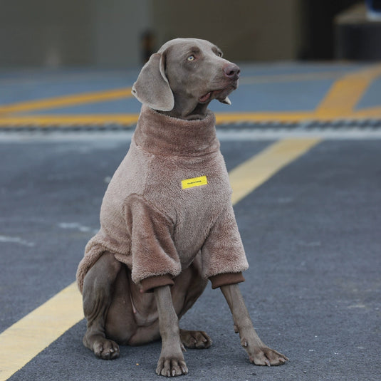 Cozy Plush Sweatshirt for Large Dog