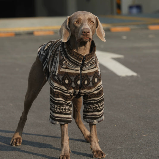 Dark Native Pattern Large Dog Jacket