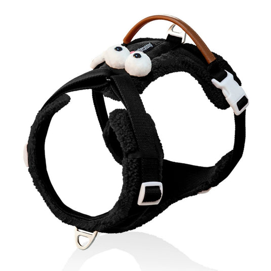 Cute Harness and Leash for Large Dog