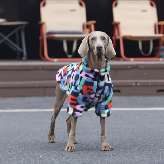 Fluffy Colorful Jacket for Large Dog