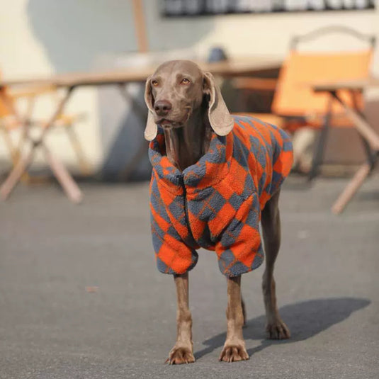 Cozy Large Dog Vest