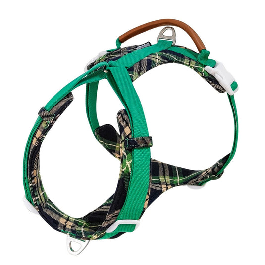 Green Large Dog Harness and Leash