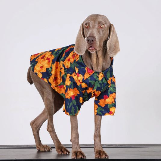 Orange Flower Large Dog Shirt