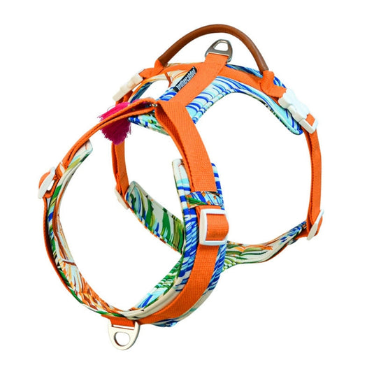 Orange Large Dog Harness and Leash