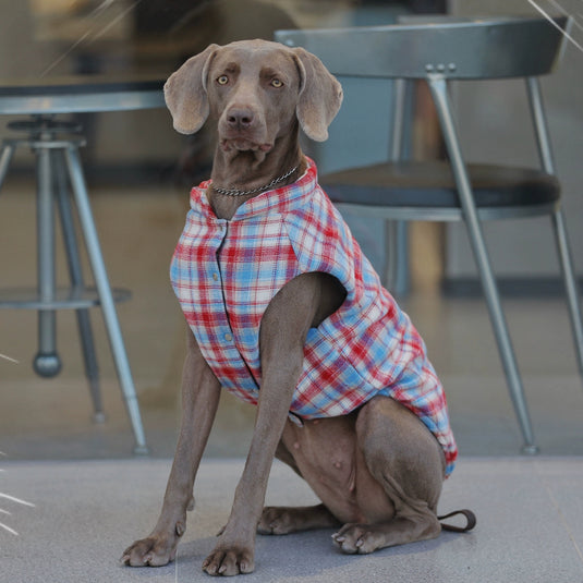 Plaid Vest for Large Dog