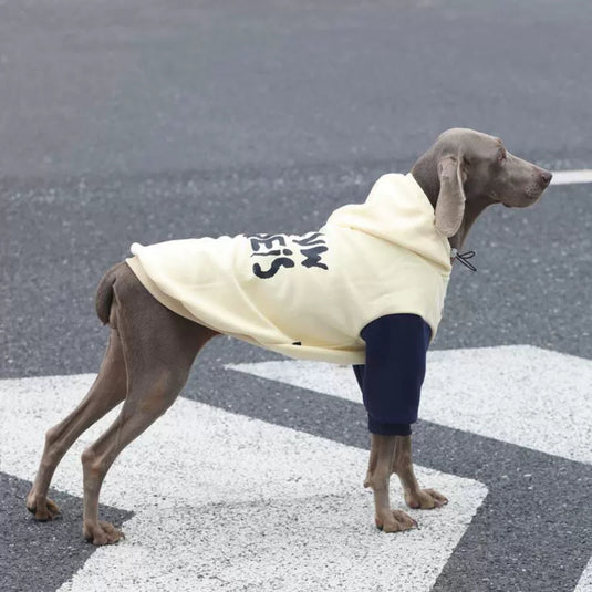 Character Large Dog Hoodie