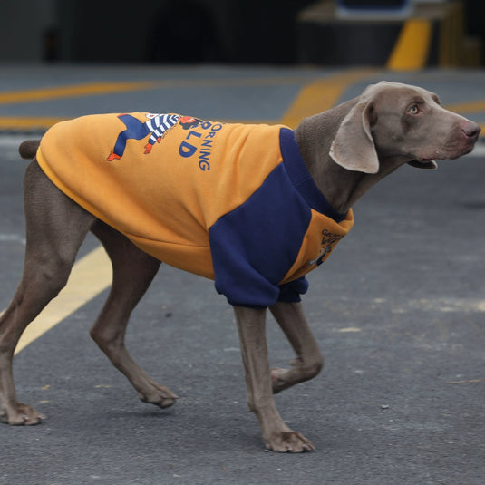 Good Morning World Sweatshirt For Large Dog