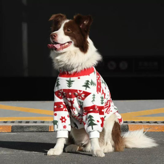 Christmas Large Dog Pajamas and Hat