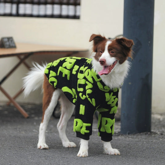 Character Fluffy Large Dog Hoodie