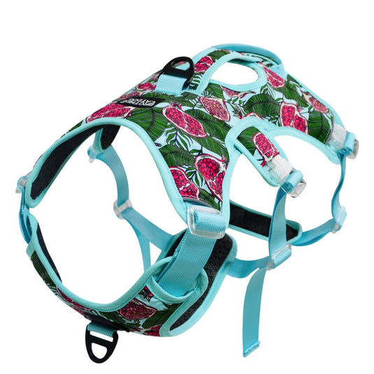 Pomegranate Harness for Large Dog