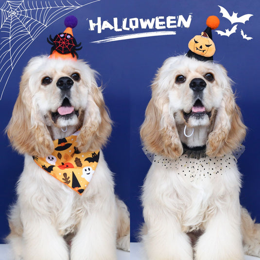 Halloween Pet Hat and Collar