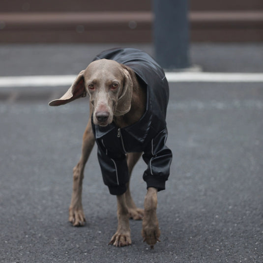 Faux Leather Dog Jacket