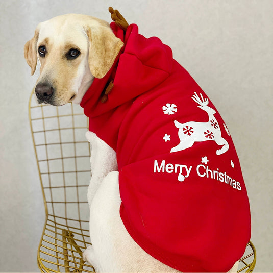 Christmas Reindeer Large Dog Hoodie