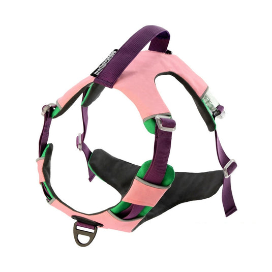 Modern Harness and Leash For Large Dog