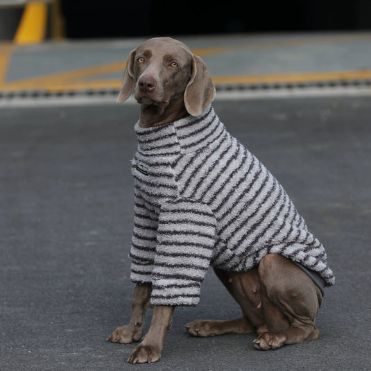 Cozy Winter Striped Large Dog Sweater