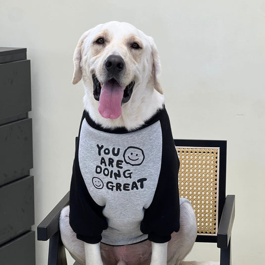 You Are Doing Great Sweatshirt For Large Dog