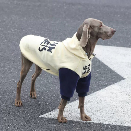 Character Large Dog Hoodie