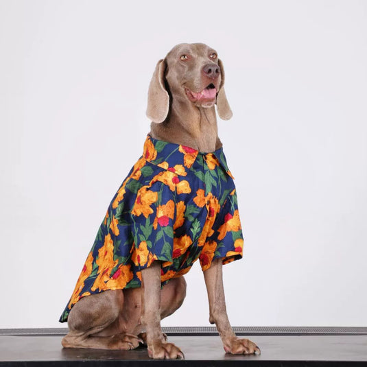 Orange Flower Large Dog Shirt