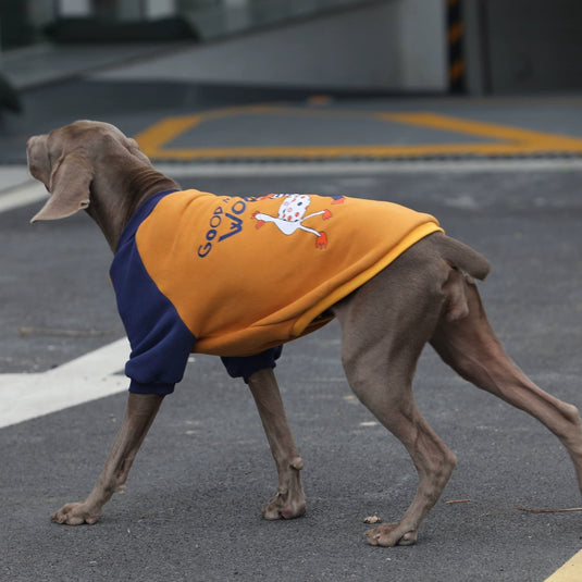 Good Morning World Sweatshirt For Large Dog