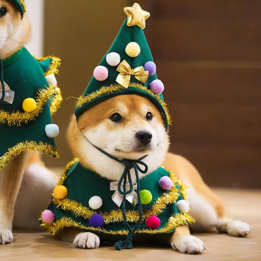 Christmas Tree Costume for Pet