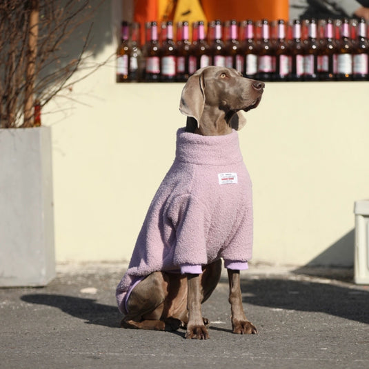 Plush Large Dog Sweatshirt