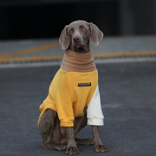 High Neck Sweatshirt for Large Dog