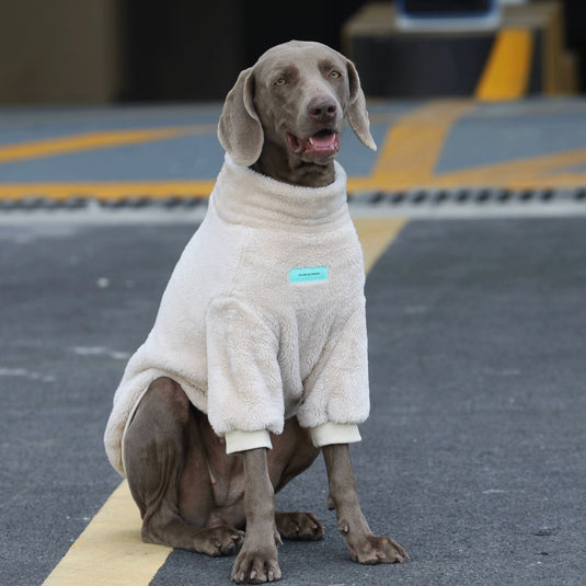 Cozy Plush Sweatshirt for Large Dog