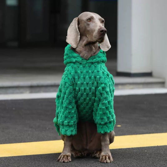 Green Velvet Large Dog Hoodie