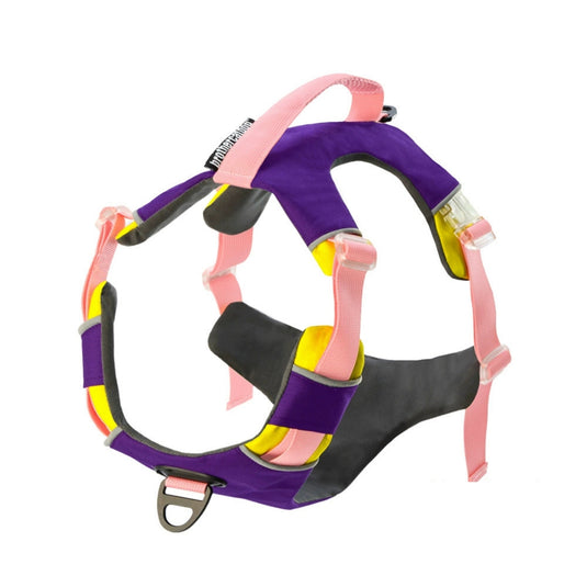 Modern Harness and Leash For Large Dog