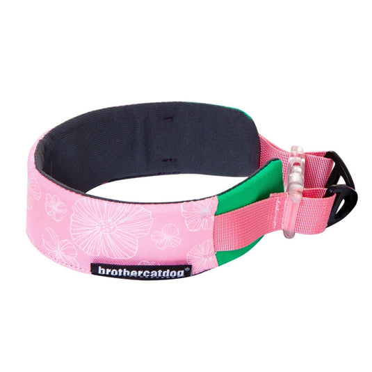 Flower Collar and Leash for Large Dog