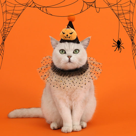 Halloween Pet Hat and Collar