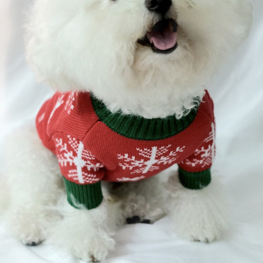 Christmas Santa Dog Ugly Sweater