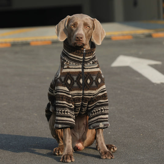 Dark Native Pattern Large Dog Jacket