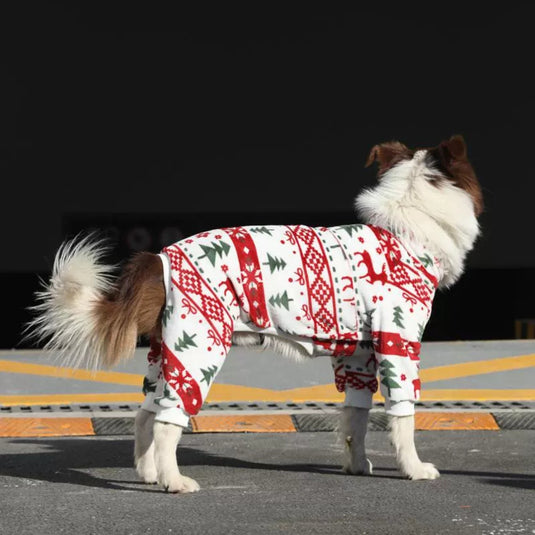 Christmas Large Dog Pajamas and Hat