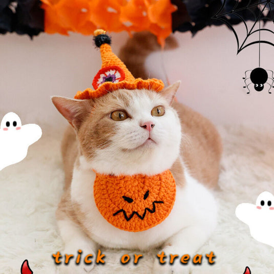 Pumpkin and Spider Halloween Pet Hat Collar