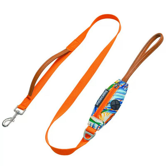 Orange Large Dog Harness and Leash