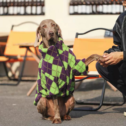 Cozy Large Dog Vest