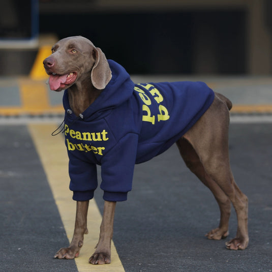 Winter Plaid Vest and Hoodie for Large Dog