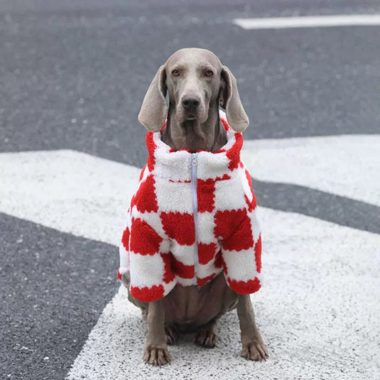 Red and White Fluffy Jacket for Large Dog