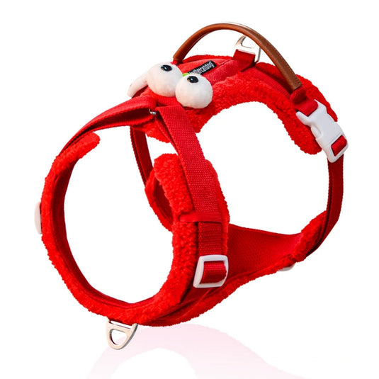 Cute Harness and Leash for Large Dog