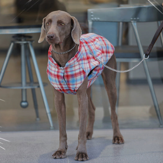 Plaid Vest for Large Dog