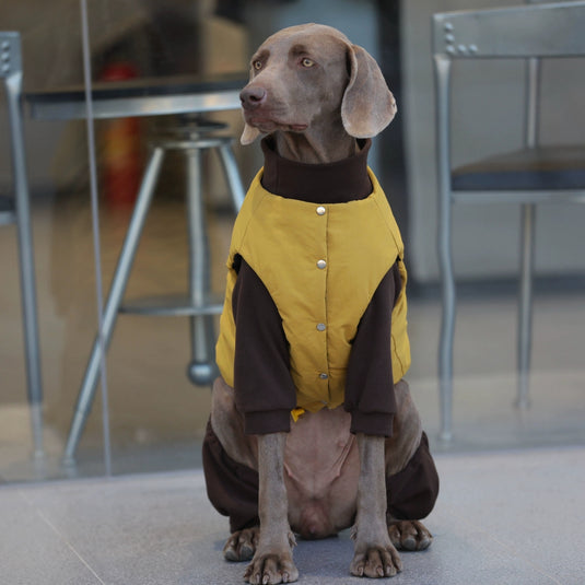 Nice Day Sweater and Yellow Vest For Large Dog