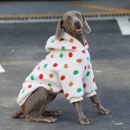 Dot Pattern Large Dog Hoodie