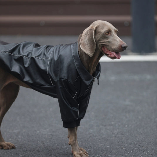 Faux Leather Dog Jacket