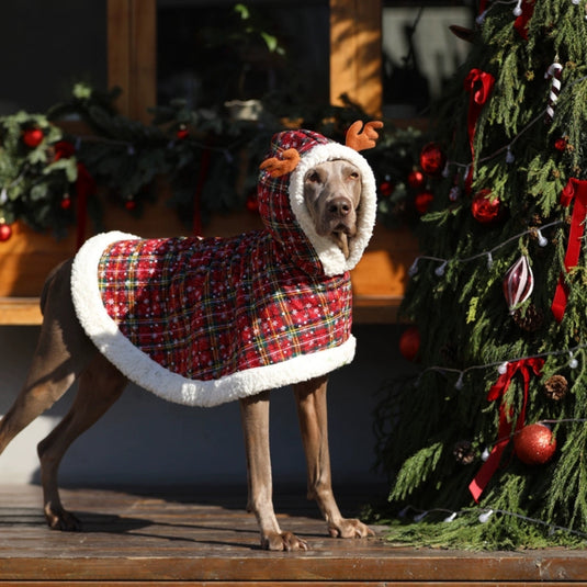 Christmas Cloak for Large Dogs